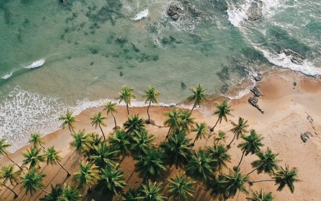 Image de Culture. Les voyages nous invitent à dépasser nos horizons habituels, à explorer des contrées moins fréquentées mais regorgeant de trésors insoupçonnés. La Côte d'Ivoire, joyau d'Afrique de l'Ouest, se dévoile comme une destination fascinante, riche de sa diversité culturelle et naturelle. Au-delà des sentiers touristiques habituels, cet article vous convie à un périple au cœur de la Côte d'Ivoire, à la rencontre de ses 10 incontournables qui éveilleront votre curiosité et vous inciteront à poser vos pas dans cette terre énigmatique. 1. Abidjan, Capitale Économique Vibrante Le périple commence à Abidjan, la vibrante capitale économique du pays. Témoin du dynamisme ivoirien, Abidjan s'affirme comme une escale obligée pour tout voyageur. L'aéroport international Félix Houphouët-Boigny accueille les arrivées avec une énergie contagieuse, préparant les visiteurs à plonger dans l'effervescence de la vie urbaine ivoirienne. Treichville et Plateau, quartiers emblématiques d'Abidjan, dévoilent des facettes contrastées de la ville. Les rues animées, les marchés colorés et les conversations joyeuses offrent un aperçu de la vie quotidienne. Pour approfondir l'expérience, des activités incontournables à Abidjan attendent les voyageurs, ancrant ainsi leur exploration dans le cœur même de la vie locale. 2. Grand-Bassam, le Charme Colonial Grand-Bassam, perle balnéaire et première capitale historique de la Côte d'Ivoire, séduit par son charme colonial préservé. À quelques kilomètres à l'ouest d'Abidjan, cette station balnéaire, bordée de plages de sable blanc, transporte les visiteurs dans une époque révolue. Le Quartier France, inscrit au patrimoine mondial de l'UNESCO, offre une immersion dans l'héritage colonial, dévoilant des maisons pittoresques et des ruelles chargées d'histoire. 3. Assinie, Entre Lagune et Océan À proximité d'Abidjan, Assinie se dévoile comme une évasion tropicale. Surnommée "la belle," cette station balnéaire, rendue célèbre par le film "Les Bronzés," attire les amateurs de farniente et de paysages pittoresques. Les plages du Golfe de Guinée, baignées de l'atmosphère de la Dolce Vita à l'ivoirienne, sont une invitation à la détente et à la découverte des trésors côtiers. 4. Grand-Lahou, Immersion dans la Campagne Ivoirienne Pour échapper à l'effervescence d'Abidjan, Grand-Lahou offre une immersion dans la campagne ivoirienne. À environ 3h30 de route d'Abidjan, cette ville côtière révèle les charmes de la vie villageoise, les plantations luxuriantes, et les forêts mystérieuses. Lahou-Kpanda, surnommée "la cité aux 3 eaux," dévoile des vestiges coloniaux, créant une atmosphère empreinte de nostalgie. 5. Grand-Bereby, Un Éden Inexploré Grand-Bereby, située à 400 km de la capitale, se présente comme une aventure vers l'inconnu. Bien que l'accès soit un défi, la récompense est à la hauteur de l'effort. Les plages paradisiaques, préservées du tourisme de masse, offrent un sanctuaire de tranquillité. Un voyage à Grand-Bereby devient une aventure, une escapade loin des sentiers battus, un témoignage des joyaux cachés de la Côte d'Ivoire. 6. Yamoussoukro, Capitale Décalée Yamoussoukro, devenue capitale en 1983, dévoile un mélange décalé d'ambitions pharaoniques et de réalités locales. Initié par le président Houphouët-Boigny, le développement colossal de la ville n'a pas atteint toutes ses aspirations. Pourtant, les visiteurs peuvent explorer des monuments grandioses, tels que la Basilique Notre-Dame-de-la-Paix, la plus grande basilique du monde, inspirée de celle de Rome. 7. Bouaké, Ville aux Mille Curiosités Bouaké, deuxième ville du pays, révèle des trésors souvent méconnus. Capitale du peuple Baoulé, cette cité au riche patrimoine culturel séduit par ses festivals et ses métiers traditionnels. Les potiers de Tanou-Sakassou, la cathédrale Sainte Thérèse de l'Enfant Jésus, les forgerons de Djambrou et les teinturières de Dar Es Salam offrent un regard authentique sur la diversité culturelle ivoirienne. 8. Sassandra, Entre Histoire et Nature Préservée Sassandra, enclavée au bord de l'océan Atlantique, se dévoile comme une destination d'exception. Son isolement relatif, conjugué à son patrimoine colonial préservé, en fait un joyau peu fréquenté. Les plages de Drewin et Pauly, les vestiges architecturaux, et les balades en pirogue à la recherche d'hippopotames offrent une expérience authentique, éloignée des sentiers touristiques habituels. 9. Man, Ville aux 18 Montagnes Man, grande ville de l'ouest ivoirien, émerge comme un écrin naturel entouré de 18 montagnes. L'ascension de la Dent de Man, du Mont Tonkpi, et du Mont Nimba promet une immersion dans une nature généreuse. Les villages de tisserands, les danses du peuple Dan, et la forêt sacrée de Gbapleu invitent à découvrir une région énigmatique. 10. Parc National du Taï, Joyau Naturel Méconnu Le Parc National du Taï, à l'ouest du pays, se présente comme un joyau naturel méconnu. Inscrit au patrimoine mondial de l'UNESCO, il abrite l'une des plus importantes populations de chimpanzés d'Afrique de l'Ouest. Malgré son accès difficile, le parc offre une immersion en pleine forêt, soulignant l'engagement éco-touristique communautaire pour protéger la biodiversité et les primates. En conclusion, la Côte d'Ivoire dévoile une palette de trésors qui transcendent les clichés touristiques. Chaque région, chaque ville, chaque coin isolé révèle une facette unique de cette nation africaine. En embrassant l'aventure à travers ces 10 incontournables, une question persiste : Quels autres secrets et délices cachés la Côte d'Ivoire réserve-t-elle, prête à être explorée et partagée avec le monde ? La réponse, peut-être, réside dans votre prochain voyage vers cette terre mystérieuse et accueillante.