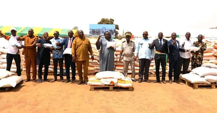 Image de Agriculture. Dans le contexte actuel, marqué par divers défis dans le secteur agricole en Côte d'Ivoire, une lueur d'espoir a émergé pour les producteurs agricoles. Le ministre de l'Agriculture, Kobenan Kouassi Adjoumani, a lancé une initiative audacieuse visant à fournir des kits de production agricole aux riziculteurs de la région du Poro. Ce geste, inscrit dans le Programme de production alimentaire d'urgence (2 PAU-CI), vise à surmonter les obstacles majeurs auxquels est confrontée l'agriculture ivoirienne. Le Programme 2 PAU-CI : Un Soutien Vital Le cœur de l'initiative réside dans la distribution de 4 902 tonnes d'engrais (Urée et NPK) et 424 tonnes de semences de riz aux 7 560 producteurs inscrits dans la région du Poro. Ces ressources, essentielles pour la production agricole, jouent un rôle crucial dans la réponse aux défis tels que la sécurité alimentaire. Le ministre Adjoumani souligne la nécessité de renforcer la production nationale de manioc, maïs et riz, offrant ainsi un bouclier contre les chocs externes tels que les répercussions persistantes de la COVID-19, la guerre russo-ukrainienne, et les restrictions d'exportation de riz imposées par l'Inde. Dans son discours, le ministre met en lumière la vulnérabilité du secteur agricole face à divers chocs exogènes. La pandémie de COVID-19, la géopolitique mondiale agitée par la guerre russo-ukrainienne, et les restrictions commerciales du riz imposées par l'Inde ont créé un climat d'incertitude pour les agriculteurs. Face à ces défis, le gouvernement ivoirien intervient de manière proactive pour garantir la stabilité et la prospérité du secteur agricole. Des Kits pour Plus que la Production Au-delà de l'aspect productif, le Programme 2 PAU-CI a des implications plus larges. Il vise à augmenter la disponibilité des produits alimentaires de base, contribuant ainsi à la réduction du coût de la vie, une préoccupation nationale majeure. L'initiative démontre la volonté du gouvernement de s'attaquer aux questions économiques et sociales tout en soutenant les agriculteurs. Cette approche holistique souligne la compréhension approfondie des interconnexions entre l'agriculture et la qualité de vie. L'appel du ministre à l'appropriation du projet par les populations de la région du Poro souligne l'importance cruciale de l'implication communautaire. La réussite de l'initiative repose sur la participation active des acteurs locaux. Cela va au-delà de la simple distribution de kits ; c'est un appel à la collaboration, à l'engagement et à la responsabilité partagée dans la construction d'un avenir agricole durable. Les Possibilités Offertes par les Infrastructures Hydro-Agricoles L'utilisation des infrastructures hydro-agricoles appropriées, combinée aux kits de production fournis, ouvre des perspectives significatives pour la Côte d'Ivoire. Ces infrastructures peuvent jouer un rôle déterminant dans l'atteinte de la souveraineté alimentaire du pays. En investissant dans des méthodes agricoles modernes et durables, le gouvernement crée un environnement propice à la croissance économique et à la résilience face aux défis futurs. En conclusion, l'initiative du ministre de l'Agriculture, Kobenan Kouassi Adjoumani, marque un tournant crucial pour le secteur agricole ivoirien. En fournissant des outils et des ressources essentiels, le gouvernement démontre son engagement envers la prospérité des producteurs agricoles. Cependant, la question persiste : Comment cette initiative influencera-t-elle le paysage agricole à long terme ? Cette interrogation ouvre la porte à une réflexion sur les défis à venir, les opportunités à saisir et les ajustements nécessaires pour garantir un avenir plus prometteur pour l'agriculture en Côte d'Ivoire.