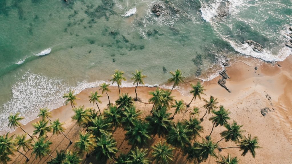 Image de Voyages. La Côte d'Ivoire, joyau de l'Afrique de l'Ouest, offre une expérience unique mêlant traditions, saveurs exquises et atmosphère chaleureuse. Au-delà des simples recommandations touristiques, découvrons un Top 10 des expériences à vivre lors d'un passage dans ce pays accueillant. Entre rencontres authentiques, délices culinaires, nuits animées et découvertes touristiques, la Côte d'Ivoire se dévoile comme une destination pleine de surprises. 1- Aller à la Rencontre de la Population L'accueil chaleureux des Ivoiriens se révèle dès votre arrivée, symbolisé par la place Akwaba, signifiant « Bienvenue » dans une langue locale. Rien de tel que d'aller spontanément à la rencontre de la population pour découvrir la Côte d'Ivoire à travers le prisme de ses habitants. De Koumassi à Marcory, chaque échange avec les locaux révèle une facette unique du pays, marquée par la bonne humeur et l'humour omniprésent. 2- Dégustation de la Nourriture Ivoirienne La gastronomie ivoirienne se dévoile à travers des plats emblématiques. Parmi eux, le "garba", composé de poisson thon pané et de semoule de manioc, représente une véritable invitation au festin. Au-delà du garba, l'alloco et le foutou, accompagnés des délicieuses sauces locales, offrent un panorama culinaire riche en saveurs. Une expérience gustative inoubliable à ne pas manquer. 3- Une Pause dans un Maquis Les maquis en Côte d'Ivoire ne sont pas des étendues de végétation, mais des lieux conviviaux où l'on se retrouve pour boire et manger dans une ambiance décontractée. Qu'ils soient petits coins de rue ou établissements plus imposants, les maquis sont des lieux incontournables pour goûter à l'authenticité de la vie ivoirienne. 4- "Abidjan by Night" Abidjan|cote, réputée pour ses nuits animées, se dévoile pleinement dans le quartier de la rue Princesse à Yopougon. Malgré les changements urbains, cette rue conserve son charme avec ses maquis et boîtes de nuit. "Abidjan by Night" promet des soirées endiablées où la joie et la fête sont au rendez-vous, inspirant même des artistes locaux comme Kamnouze et Singuila. 5- Découverte des Plages Avec ses 566 kilomètres de littoral, la Côte d'Ivoire offre un éventail de plages bordées de cocotiers. De San Pedro à Bassam en passant par Monogaga et Assinie, ces plages invitent à la détente et à la baignade en mer. Pour les amateurs de découvertes sans se mouiller, la Société des transports abidjanais propose des visites lagunaires, révélant des sites uniques comme le cimetière des bateaux. 6- Visite du Zoo et des Parcs Nationaux Les éléphants, symboles de la Côte d'Ivoire, se font rares en liberté. Les parcs nationaux et le Zoo d'Abidjan offrent une opportunité unique d'observer la faune locale, tout en découvrant la richesse de la biodiversité ivoirienne. Une escapade au cœur de la nature pour une expérience mémorable. 7- Apprentissage du Nouchi Pour une immersion totale, l'apprentissage du nouchi, l'argot ivoirien, devient essentiel. En dehors des sentiers touristiques, maîtriser quelques expressions nouchiennes permet d'éviter de se sentir "Gaou" (novice) et facilite les échanges avec la population locale. 8- Visite des Sites Touristiques Le tourisme ivoirien, longtemps en souffrance, renaît avec des sites emblématiques. La basilique Notre Dame de la Paix de Yamoussokro, le pont des lianes de Man, la cathédrale Saint Paul d'Abidjan, le musée des costumes de Grand Bassam et le musée des civilisations au Plateau sont autant de joyaux culturels à explorer. 9- Balade au Plateau, Centre des Affaires Fierté de la Côte d'Ivoire moderne, le Plateau, surnommé la "Manhattan de l'Afrique", représente le centre névralgique des affaires. Avec ses buildings, bureaux, ponts et le palais présidentiel, cette commune offre un aperçu du dynamisme économique ivoirien. 10- Suivi des Programmes Nationaux de Télé et Radio Malgré les critiques, la Radio Télédiffusion Ivoirienne (RTI) demeure une source incontournable pour saisir l'actualité sociale, économique et politique ivoirienne. Au-delà des chansons des maquis, elle propose une immersion dans la diversité culturelle et musicale du pays. Explorer ces dix facettes de la Côte d'Ivoire permet de vivre une expérience complète, entre traditions, saveurs, festivités et découvertes. Au-delà des recommandations touristiques classiques, chaque interaction, chaque saveur, chaque lieu visite offre une plongée authentique dans la vie ivoirienne. La Côte d'Ivoire se dévoile ainsi comme une destination riche, captivante et pleine de surprises. Quelle facette de la Côte d'Ivoire vous attire le plus, et quelle serait votre première expérience à vivre lors d'une visite dans ce pays ?