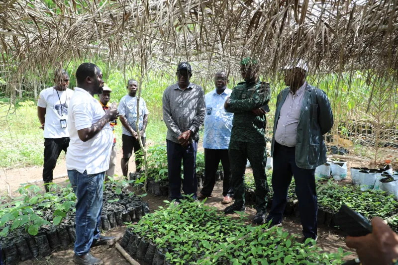 Image de Société. Dans un effort concerté pour restaurer les mangroves et les ilots forestiers dégradés, la FAO (Organisation des Nations Unies pour l'Alimentation et l'Agriculture) et le Ministère des Eaux et Forêts ont lancé un projet visant à soutenir quatre villages de Grand Béréby. Cette initiative, présentée par l'ONG Conservation des Espèces Marines (CEM), s'inscrit dans le cadre d'une réserve naturelle volontaire communautaire. Un investissement pour l'avenir environnemental Avec un financement de près de 80 000 dollars US de la part de la FAO, ce projet vise à restaurer les mangroves dans la future réserve naturelle volontaire de l'embouchure du fleuve Dodo à Grand Béréby. Cette action s'inscrit dans la mise en œuvre du projet "Transformation globale des forêts pour les Peuples et le Climat : un accent en l'Afrique de l'Ouest", qui s'étend sur 15 pays d'Afrique de l'Ouest, dont la Côte d'Ivoire. Un an après le lancement du projet, les résultats sont déjà visibles. Les communautés des villages concernés ont été sensibilisées à l'importance de l'environnement et ont entrepris des actions de reboisement. Des pépinières ont été établies, des mangroves ont été restaurées, et des formations ont été dispensées pour assurer la pérennité de l'initiative. Des retombées économiques pour les communautés locales Au-delà de son impact environnemental, ce projet devrait également générer des retombées économiques pour les villages impliqués. Les groupements d'intérêt économique (GIE) formés pour la restauration des mangroves pourront bénéficier de revenus supplémentaires grâce à la vente de plants forestiers et fruitiers. De plus, le développement de services écotouristiques promet d'ouvrir de nouvelles opportunités économiques pour les habitants. Lors d'une réunion avec la communauté de Mani Bereby, le représentant résident de la FAO en Côte d'Ivoire, M. Attaher Maiga, a souligné l'urgence d'agir face au changement climatique. Il a encouragé les communautés à devenir des ambassadeurs de la lutte environnementale et a rappelé que la survie de l'humanité dépend de la préservation de la biodiversité. Alors que les villageois expriment leur reconnaissance envers la FAO et le Ministère des Eaux et Forêts pour leur soutien, des défis persistent. Certains, comme Nemlin Edwige Natacha et Gné Gnahoué, appellent à une action plus soutenue des autorités pour accélérer la création de la réserve naturelle volontaire communautaire et lever les contraintes foncières. Dans cette lutte continue pour la préservation de l'environnement, chaque action compte. À quand la prochaine initiative communautaire ?