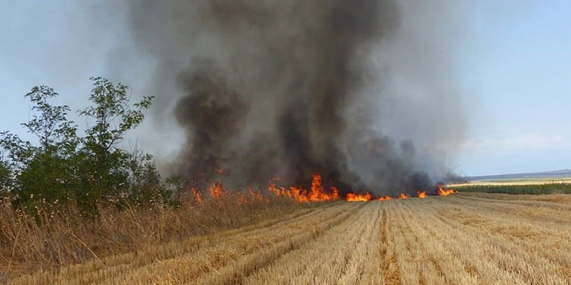 Image de Faits Divers. Le calme qui régnait sur le village de Béhoué-Zibiao, niché au cœur de la sous-préfecture de Zéo, dans le département de Bangolo, a été brutalement interrompu le mercredi 28 février 2024. Gansoré Kassoum, un planteur respecté âgé de 39 ans, a trouvé la mort dans un incendie dévastateur qui a ravagé sa plantation. Ce triste événement met en lumière les dangers omniprésents auxquels les agriculteurs sont confrontés dans leur lutte quotidienne pour assurer leur subsistance. Un Départ Inattendu Gansoré Kassoum, réputé pour son expertise dans la culture des terres de la région, avait entrepris de préparer une parcelle pour la prochaine saison de semence. Cependant, ce qui aurait dû être une journée de travail ordinaire s'est rapidement transformé en cauchemar. Selon les récits rapportés par les témoins oculaires et les informations fournies par le journaliste Norbert Nkaka, le planteur avait décidé d'utiliser la méthode traditionnelle du brûlis pour nettoyer sa parcelle. Malheureusement, le destin en a décidé autrement. Un vent violent s'est levé subitement, propageant les flammes à une vitesse alarmante, piégeant Gansoré Kassoum au milieu de l'enfer ardent. Dans un acte désespéré pour sauver sa plantation et celles de ses voisins, Gansoré Kassoum s'est lancé dans une lutte héroïque contre les flammes. Cependant, la nature implacable de l'incendie a rapidement dépassé ses capacités. Pris au piège dans un tourbillon de fumée et de flammes, il a finalement succombé, gisant au sol, victime probable de l'asphyxie causée par les émanations de gaz toxiques. Une Communauté Ébranlée La nouvelle du décès tragique de Gansoré Kassoum a plongé la communauté de Béhoué-Zibiao dans une profonde consternation. Homme respecté et travailleur infatigable, il laisse derrière lui un vide difficile à combler. Ses voisins et ses proches pleurent la perte d'un membre précieux de leur communauté, rappelant à tous les risques inhérents à la vie agricole dans cette région. Face à cette tragédie, les autorités locales ont réagi promptement en dépêchant des gendarmes sur les lieux pour mener les investigations nécessaires. Une enquête approfondie a été ouverte afin de déterminer les circonstances exactes de l'incident. Les résultats de cette enquête sont attendus avec impatience, car ils pourraient éclairer sur d'éventuelles mesures à prendre pour éviter de futurs drames similaires. Sensibilisation et Prévention : Les Clés de l'Avenir Ce triste événement souligne la nécessité urgente d'une sensibilisation accrue sur les dangers liés aux méthodes agricoles traditionnelles, telles que le brûlis. Les autorités locales et les organisations agricoles pourraient envisager des campagnes de sensibilisation visant à promouvoir des pratiques agricoles plus sûres et respectueuses de l'environnement. Éduquer les agriculteurs sur les risques potentiels et les techniques alternatives de gestion des terres pourrait contribuer à prévenir de telles tragédies à l'avenir. Alors que la communauté de Béhoué-Zibiao tente de panser ses plaies et de se remettre de cette perte déchirante, une question persiste : quelles actions concrètes devraient être entreprises pour éviter que de telles tragédies ne se reproduisent à l'avenir?