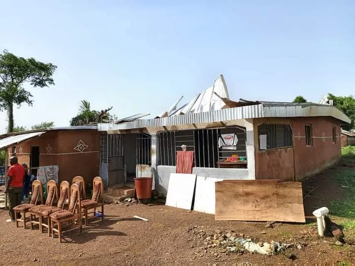 Image de Faits Divers. Dans la nuit du mercredi 27 au jeudi 28 mars 2024, le calme habituel du village de Ziombli, situé dans la commune de Toulépleu, a été brutalement perturbé par l'arrivée soudaine d'une tornade d'une rare violence. Les habitants ont été pris au dépourvu par cette force de la nature dévastatrice qui a semé le chaos sur son passage. Toitures arrachées, clôtures renversées, poteaux électriques effondrés, arbres déracinés, et murs de maisons démolis, le bilan des dégâts matériels est alarmant. Une communauté éprouvée La communauté de Ziombli, établie sur la rive droite du Cavally, dans la commune de Toulépleu, a été durement touchée par cette catastrophe naturelle. Entre 23 heures et 2 heures du matin, les habitants ont été confrontés à la furie des éléments, alors que la tornade balayait tout sur son passage. Au total, près de 158 ménages ont été touchés, certains se retrouvant sans abri après que leurs maisons aient été totalement détruites, tandis que d'autres ont subi des dommages partiels. Outre les dégâts matériels, la tornade a également fait plusieurs victimes. Parmi elles, 8 personnes ont été blessées, dont 6 adultes et 2 enfants. Leur état de santé témoigne de la violence de l'événement. De plus, une partie d'un champ d'hévéa, essentiel pour l'économie locale, a été partiellement dévastée, ajoutant ainsi une dimension économique à cette tragédie. Face à cette situation d'urgence, les autorités locales ont rapidement mobilisé leurs équipes pour porter secours aux habitants sinistrés. Le maire de la commune de Toulépleu, Denis Kah Zion, s'est rendu sur les lieux dès qu'il a été informé de la situation. Accompagné de son équipe municipale, il a passé la journée du vendredi 29 mars 2024 à évaluer les dégâts et à apporter un soutien concret aux familles affectées. La police et la gendarmerie de Toulépleu ont également été déployées pour prêter main-forte sur le terrain. Une mobilisation collective pour la reconstruction La mobilisation des autorités locales n'a pas été le seul levier d'action. Le préfet du département s'est également rendu sur place pour évaluer les dégâts et organiser une réponse coordonnée. Une réunion de crise a été tenue le lundi 1er avril 2024, au cours de laquelle le préfet a annoncé la mise en place de mesures d'urgence pour soutenir la population sinistrée. La route vers la reconstruction s'annonce longue pour la communauté de Ziombli. Après le chaos initial, l'heure est maintenant à la reconstruction et au soutien des habitants affectés dans leur processus de rétablissement. Les premières étapes de la réponse à cette catastrophe sont en cours, mais il faudra un effort collectif continu pour permettre à Ziombli de se relever de cette épreuve. Comment la communauté de Ziombli peut-elle être soutenue dans son processus de reconstruction après cette catastrophe dévastatrice ?