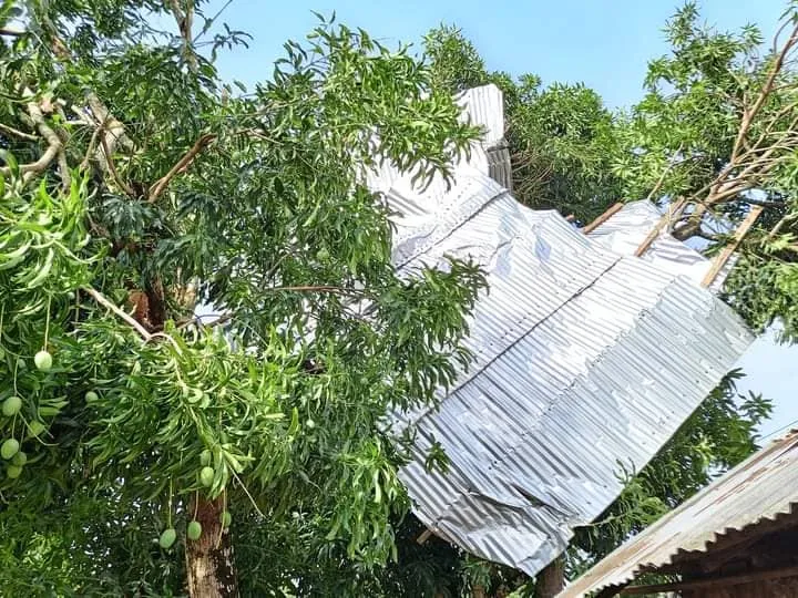 Deuxième Image de Faits Divers. Dans la nuit du mercredi 27 au jeudi 28 mars 2024, le calme habituel du village de Ziombli, situé dans la commune de Toulépleu, a été brutalement perturbé par l'arrivée soudaine d'une tornade d'une rare violence. Les habitants ont été pris au dépourvu par cette force de la nature dévastatrice qui a semé le chaos sur son passage. Toitures arrachées, clôtures renversées, poteaux électriques effondrés, arbres déracinés, et murs de maisons démolis, le bilan des dégâts matériels est alarmant. Une communauté éprouvée La communauté de Ziombli, établie sur la rive droite du Cavally, dans la commune de Toulépleu, a été durement touchée par cette catastrophe naturelle. Entre 23 heures et 2 heures du matin, les habitants ont été confrontés à la furie des éléments, alors que la tornade balayait tout sur son passage. Au total, près de 158 ménages ont été touchés, certains se retrouvant sans abri après que leurs maisons aient été totalement détruites, tandis que d'autres ont subi des dommages partiels. Outre les dégâts matériels, la tornade a également fait plusieurs victimes. Parmi elles, 8 personnes ont été blessées, dont 6 adultes et 2 enfants. Leur état de santé témoigne de la violence de l'événement. De plus, une partie d'un champ d'hévéa, essentiel pour l'économie locale, a été partiellement dévastée, ajoutant ainsi une dimension économique à cette tragédie. Face à cette situation d'urgence, les autorités locales ont rapidement mobilisé leurs équipes pour porter secours aux habitants sinistrés. Le maire de la commune de Toulépleu, Denis Kah Zion, s'est rendu sur les lieux dès qu'il a été informé de la situation. Accompagné de son équipe municipale, il a passé la journée du vendredi 29 mars 2024 à évaluer les dégâts et à apporter un soutien concret aux familles affectées. La police et la gendarmerie de Toulépleu ont également été déployées pour prêter main-forte sur le terrain. Une mobilisation collective pour la reconstruction La mobilisation des autorités locales n'a pas été le seul levier d'action. Le préfet du département s'est également rendu sur place pour évaluer les dégâts et organiser une réponse coordonnée. Une réunion de crise a été tenue le lundi 1er avril 2024, au cours de laquelle le préfet a annoncé la mise en place de mesures d'urgence pour soutenir la population sinistrée. La route vers la reconstruction s'annonce longue pour la communauté de Ziombli. Après le chaos initial, l'heure est maintenant à la reconstruction et au soutien des habitants affectés dans leur processus de rétablissement. Les premières étapes de la réponse à cette catastrophe sont en cours, mais il faudra un effort collectif continu pour permettre à Ziombli de se relever de cette épreuve. Comment la communauté de Ziombli peut-elle être soutenue dans son processus de reconstruction après cette catastrophe dévastatrice ?