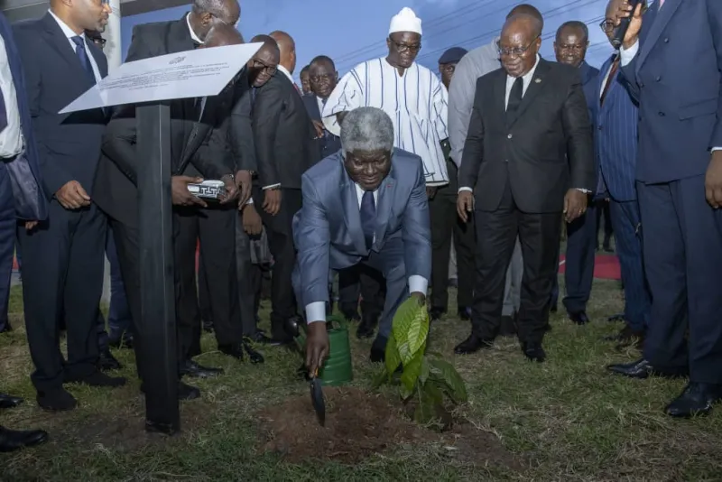 Image de Agriculture. Depuis 2018, la Côte d'Ivoire et le Ghana, les deux plus grands producteurs mondiaux de cacao, ont entrepris un voyage conjoint vers un avenir plus durable pour leur industrie cacaoyère. Leur dernière étape, l'inauguration du siège du Secrétariat exécutif de l’Initiative Cacao Côte d’Ivoire – Ghana (ICCIG), représente un jalon crucial dans ce parcours. Tenue le 18 avril dernier à Accra, cette cérémonie a vu la participation de hauts dignitaires, dont le Premier ministre ivoirien et le Président de la République ghanéenne, marquant ainsi un engagement sans précédent des deux pays à travailler de concert pour le bien-être de leurs peuples et de leurs économies. Un Engagement Visionnaire Alex Assanvo, secrétaire exécutif de l’ICCIG, souligne l'importance historique de cette collaboration. Il rappelle que la déclaration d'Abidjan en 2018, qui a donné naissance à l'ICCIG, est le fruit d'une vision partagée par les deux présidents. Cette vision consiste à replacer le producteur de cacao au cœur de la chaîne de valeur et à garantir une rémunération équitable pour ses efforts. Grâce à l'ICCIG, les deux pays ont pu renforcer leur position sur la scène internationale et imposer l'idée d'un prix plancher pour le cacao. Malgré les obstacles et les critiques, le Différentiel de Revenu Décent (DRD) a survécu et a même commencé à influencer d'autres industries agricoles à adopter des politiques similaires. Cette réussite représente une lueur d'espoir pour la filière cacao et illustre le pouvoir de l'unité dans la poursuite d'objectifs communs. Une Volonté de Changement La Côte d'Ivoire, en tant que premier producteur mondial de cacao, reconnaît la nécessité de réformer sa filière cacao pour en garantir la durabilité. Les producteurs ivoiriens, bien que fournissant une part importante de la production mondiale, ne bénéficient souvent pas des retombées économiques de leur travail. Pour remédier à cette situation, le pays s'engage à redéfinir sa stratégie cacaoyère en collaboration avec le Ghana. Le Premier ministre ivoirien, Robert Beugré Mambé, exprime la conviction que l'avenir de la filière cacao réside dans une collaboration étroite entre les deux pays. Il souligne que les avancées réalisées grâce à l'ICCIG ne sont que le début d'une transformation plus profonde de l'économie cacaoyère. Avec la Conférence mondiale du cacao à l'horizon, les deux pays réaffirment leur engagement à travailler ensemble pour relever les défis de durabilité de la filière. L'inauguration du siège de l'ICCIG marque une nouvelle ère de collaboration et d'innovation dans l'industrie cacaoyère. Tant la Côte d'Ivoire que le Ghana aspirent à faire de cet organisme un moteur de changement et de progrès pour la filière cacao. En unissant leurs forces, ces deux nations espèrent non seulement améliorer les conditions de vie des producteurs de cacao, mais aussi renforcer leur position sur le marché mondial. Le chemin à parcourir est encore long, mais avec une détermination commune, ils sont prêts à relever le défi. Quelles autres initiatives pourraient renforcer la collaboration entre les producteurs de cacao et les gouvernements pour assurer un avenir durable pour l'industrie cacaoyère ?