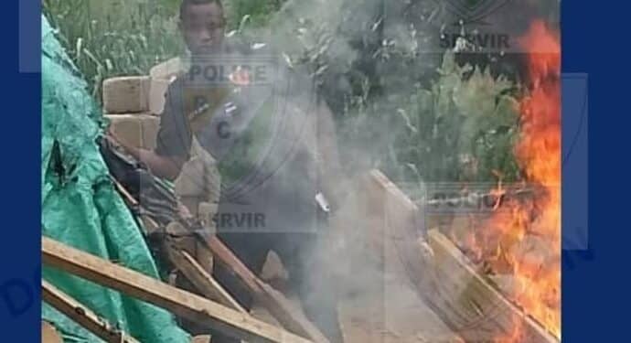 Image de Faits Divers. Jeudi 9 mai 2024, la commune d'Abobo a été le théâtre d'une opération de lutte contre le grand banditisme menée par la police ivoirienne. Les agents de la police, appuyés par la Brigade anticriminalité (BAC), la Compagnie républicaine de sécurité (CRS), le Centre de coordination des décisions opérationnelles (CCDO), et le GMI (Groupement mobile d'intervention), ont mené une opération spéciale pour rétablir l'ordre et la sécurité dans la zone d'Abobo Kennedy Clouetcha et Belleville. Les fumoirs, cibles prioritaires Au total, huit fumoirs ont été détruits par les agents de la police, mettant ainsi un terme à l'activité criminelle qui s'y déroulait. Selon les informations fournies par la Direction générale de la police nationale (DGPN), les policiers ont également saisi une importante quantité de stupéfiants, notamment 12 méches de grains de cannabis, 50 boulettes de cannabis, ainsi que des instruments de travail tels que des machettes, une scie, des couteaux, des paires de ciseaux et des pipes. L'opération a également permis l'arrestation de quatre personnes suspectes dans les environs des fumoirs, ainsi que la rafle de 15 autres individus. Les enquêtes sont en cours pour déterminer les liens entre ces personnes et les activités criminelles qui se déroulaient dans les fumoirs détruits. La police ivoirienne a réaffirmé sa détermination à lutter contre le grand banditisme et à rétablir l'ordre et la sécurité dans les quartiers de la commune d'Abobo. "Nous sommes déterminés à mettre fin à l'activité criminelle qui gangrène notre société", a déclaré le directeur général de la police nationale, "nous allons continuer à mener des opérations de ce type pour protéger les citoyens et rétablir la confiance dans les institutions". La population appelle à une poursuite de l'effort Les habitants de la commune d'Abobo ont salué l'opération menée par la police ivoirienne, mais ils appellent à une poursuite de l'effort pour éradiquer définitivement le grand banditisme de leur quartier. "Nous sommes contents de voir que la police prend des mesures pour rétablir l'ordre, mais nous devons aller plus loin", a déclaré un habitant d'Abobo, "nous devons travailler ensemble pour créer un environnement sécurisé pour tous". La question qui se pose maintenant est de savoir si cette opération sera suivie d'autres actions pour éradiquer définitivement le grand banditisme à Abobo. La police ivoirienne a-t-elle les moyens de maintenir la pression sur les criminels et de protéger les citoyens? Les habitants de la commune d'Abobo pourront-ils enfin vivre dans un environnement sécurisé? Seul l'avenir le dira.