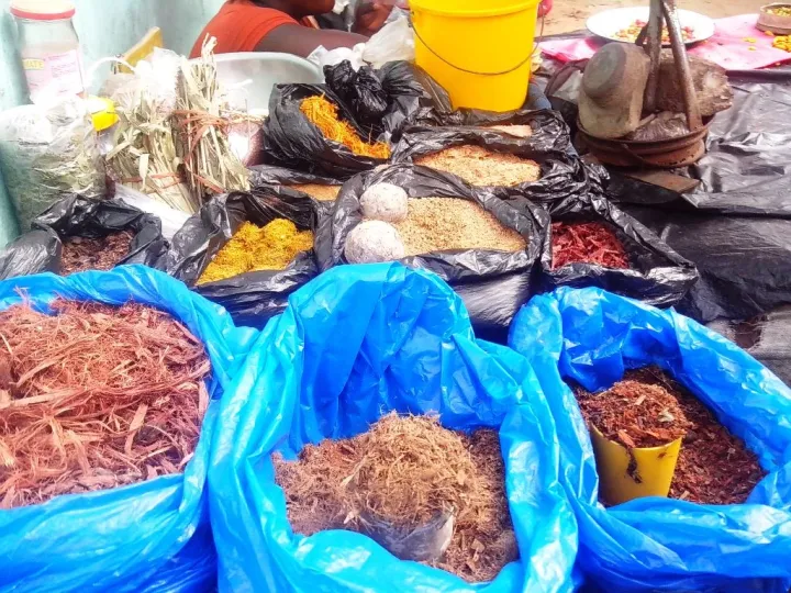 Image de Santé. La médecine traditionnelle en Côte d'Ivoire, longtemps considérée comme un pilier essentiel de la santé publique, est confrontée à un nouveau défi majeur : la prolifération de médicaments traditionnels de qualité inférieure et falsifiés. Cette menace pour la santé publique a récemment été dénoncée lors d'une réunion urgente de l'Organisation Nationale des Associations des Praticiens de Médecine Traditionnelle des districts sanitaires. Retour sur cette prise de conscience et les mesures proposées pour réguler ce secteur vital. Des Médicaments Falsifiés : Un Danger pour la Santé Publique Selon l'Organisation mondiale de la Santé (OMS), les médicaments falsifiés sont des produits dont l'identité, la composition ou l'origine sont intentionnellement altérées. Cette falsification peut prendre différentes formes, notamment en mélangeant des produits naturels avec des substances chimiques pour produire des résultats prétendument bénéfiques pour la santé. Lors de la réunion de l'Organisation Nationale des Associations des Praticiens de Médecine Traditionnelle, des révélations alarmantes ont été faites. Des produits prétendument destinés au traitement de diverses pathologies ont été analysés et des traces de gènes de la fièvre typhoïde ont été découvertes. Certains de ces produits contenaient même des champignons ou des bactéries potentiellement responsables de graves maladies telles que le cancer, les insuffisances rénales et cardiaques, mettant ainsi en danger la santé des patients. Le Dr Kroa Ehoule, Directeur Coordonnateur du Programme National de Promotion de la Médecine Traditionnelle, a vivement dénoncé ces pratiques et appelé les praticiens à assumer leurs responsabilités. Il a averti que les plaintes reçues par son bureau ne resteraient pas sans suite et a appelé chaque praticien à répondre de ses actes. Vers une Régulation et une Certification du Secteur En plus des mesures de sensibilisation, le Dr Ehoule a proposé la mise en place d'un processus de labellisation et de certification des médicaments traditionnels pour garantir leur sécurité et leur efficacité. Il a également souligné l'urgence de créer des instituts de recherche spécialisés dans la médecine traditionnelle, suivant l'exemple d'autres pays de la région tels que le Ghana et le Nigeria. La récente interdiction de l'« atoté », un médicament traditionnel controversé, a mis en lumière les pratiques inquiétantes dans le secteur de la médecine traditionnelle en Côte d'Ivoire. Face à la menace croissante des médicaments falsifiés, il devient impératif pour les autorités de prendre des mesures rapides et efficaces pour réguler ce secteur vital et protéger la santé des populations. Une question demeure : quelles actions concrètes seront entreprises pour sécuriser la pratique de la médecine traditionnelle en Côte d'Ivoire et prévenir les risques pour la santé publique ?