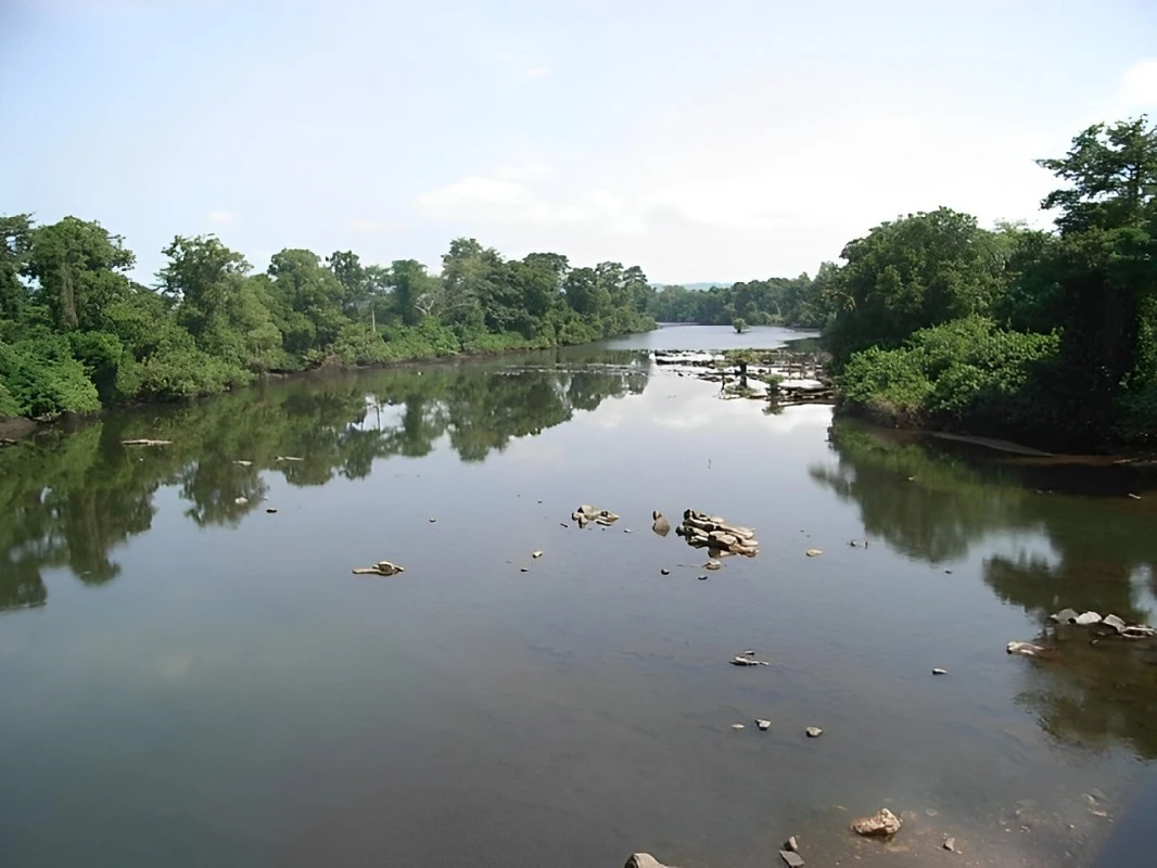 Image de Faits Divers. Le lundi 6 mai 2024, la sous-préfecture de Komborodougou, située dans la région du Poro en Côte d'Ivoire, a été le théâtre d'une tragédie déchirante. Un jeune bouvier malien, dont l'identité demeure inconnue, a trouvé la mort dans des circonstances tragiques, se noyant dans les eaux tumultueuses du fleuve Lofigué. Cette issue funeste est survenue à la suite d'une course-poursuite effrénée avec des initiés de l'école initiatique traditionnelle du Poro, accompagnés de masques sacrés, réputés pour leur importance dans les rituels et cérémonies locales. Le Poro : Entre Tradition et Respect Le Poro, en tant qu'école initiatique traditionnelle, occupe une place centrale dans la culture et les croyances de nombreuses communautés de la région. Les initiés et les masques sacrés du Poro sont à la fois vénérés et redoutés, notamment par ceux qui ne sont pas initiés à cette tradition millénaire. La tragédie a commencé lorsque le jeune bouvier, de passage dans la région avec son troupeau de bœufs en direction de son Mali natal, est tombé nez à nez avec les initiés du Poro. Ces derniers se rendaient aux funérailles du chef du village de Foungniguékaha. Pris de panique face à cette rencontre inattendue, le bouvier a tenté de fuir. Malheureusement, dans sa précipitation, il a couru en direction du fleuve Lofigué et, incapable de nager, s'est retrouvé en grande détresse dans les eaux profondes. L'Appel à la Coexistence Pacifique Cette tragédie a suscité une vive émotion au sein de la communauté locale. Lors de la cérémonie d'inhumation qui a eu lieu le lendemain, le sous-préfet de Komborodougou, le médecin-chef du centre de santé de Karakoro, ainsi que le chef du village de Pkonkaha étaient présents pour rendre un dernier hommage au jeune défunt. Cet événement malheureux souligne les tensions parfois présentes entre les différentes traditions et communautés de la région. Les rituels du Poro, bien que profondément enracinés dans la culture locale, peuvent parfois entrer en conflit avec les activités des éleveurs transhumants. Il est impératif de promouvoir un dialogue respectueux et de mettre en place des mesures de sensibilisation pour éviter de telles tragédies à l'avenir. Mesures Supplémentaires Peuvent Être Prises pour Favoriser une Coexistence Harmonieuse entre les Traditions Culturelles et les Activités Économiques dans les Régions où Elles Coexistent ?