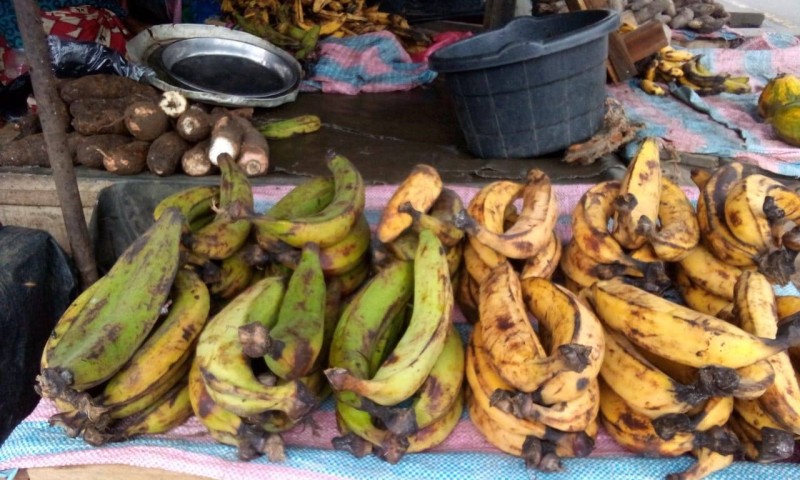 Image de Agriculture. Ce jeudi 30 mai 2024, les habitants d'Abidjan ont eu un aperçu des fluctuations des prix des produits vivriers, de la viande et du poisson sur les marchés de la ville. Alors que certains produits restent stables, d'autres enregistrent des variations significatives, reflétant ainsi les dynamiques économiques en cours. Stabilité pour la plupart des produits Dans un contexte où la stabilité des prix est un sujet d'attention majeur pour de nombreux consommateurs, certains produits alimentaires tels que le chou, la courgette, le navet, le concombre, la dinde, le kplo et le poisson carpe aquaculture ont maintenu leurs prix à des niveaux inchangés. Cette situation pourrait apporter un soulagement aux ménages qui dépendent de ces denrées de base pour leur alimentation quotidienne. Cependant, une note discordante dans cette stabilité apparente est la hausse du prix de la banane plantain, qui passe à 600 FCFA le kilo. Cette augmentation pourrait être attribuée à une variété de facteurs, y compris les conditions météorologiques, les coûts de production et les défis logistiques. Quoi qu'il en soit, cela soulève des préoccupations quant à l'accessibilité de ce produit largement consommé dans la région. Analyse des implications économiques Cette analyse des prix des produits alimentaires à Abidjan souligne l'importance de surveiller de près les fluctuations des prix sur les marchés locaux. Alors que la stabilité des prix offre un répit aux consommateurs, toute hausse soudaine peut entraîner des difficultés financières pour les ménages à faible revenu. Il est donc crucial pour les autorités de prendre des mesures appropriées pour atténuer les effets de ces variations et garantir un accès équitable aux denrées alimentaires de base. En conclusion, bien que la plupart des produits alimentaires affichent une stabilité des prix à Abidjan, la hausse du prix de la banane plantain est un sujet de préoccupation pour de nombreux résidents. Cette situation soulève des questions sur les facteurs sous-jacents à cette augmentation et met en lumière la nécessité de politiques efficaces pour assurer la stabilité des prix et garantir l'accessibilité des produits alimentaires pour tous. Quelles mesures devraient être prises pour atténuer l'impact de la hausse du prix de la banane plantain sur les ménages les plus vulnérables à Abidjan ?