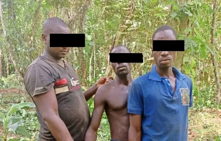 Image de Faits Divers. Dans une opération exemplaire menée le 6 juillet 2024, le lieutenant Koné Blaise et son équipe de l'Unité de Gestion Forestière (UGF) de Mopri ont interpellé trois individus coupables de défrichement et de destruction chimique dans la forêt classée de Mopri, dans le département de Tiassalé. Cet événement marque un tournant dans la lutte contre les activités illégales qui menacent l'une des zones de reboisement les plus critiques de la Côte d'Ivoire. Opération de Sauvetage en Forêt Classée Sous la directive du lieutenant-colonel Koné Césaire, directeur du centre de gestion d’Agboville, une intervention rapide a été orchestrée après la réception d'une information anonyme. Sur place, les agents de l'UGF ont trouvé Rouamba A., Wango N., et Wango B. en plein acte de destruction. Ils employaient des produits chimiques pour anéantir les jeunes plantations de Teck et de Cedrella, investissements majeurs de l'État ivoirien pour la reforestation. L'utilisation de produits chimiques pour défricher les forêts est une pratique particulièrement destructrice, affectant non seulement la flore immédiate mais aussi la faune et les sols environnants. Les dommages causés par de telles méthodes peuvent prendre des décennies à être réparés, mettant en péril la biodiversité et les services écosystémiques essentiels. La réussite de cette opération témoigne de l'importance de la collaboration entre les autorités et la communauté locale. Le lieutenant Koné Blaise a souligné ce point, encourageant davantage de vigilance et de participation civique dans la protection des forêts. "Nous comptons sur l'œil et la voix de chaque citoyen pour maintenir nos forêts en sécurité," a-t-il déclaré lors de la conférence de presse suivant l'arrestation. Enjeux de la protection forestière en Côte d'Ivoire La Forêt Classée de Mopri, gérée par la Société de Développement des Forêts (SODEFOR), est essentielle pour la conservation de la biodiversité, notamment pour la survie des éléphants qui peuplent ses étendues. Le Directeur Général de la SODEFOR, Mamadou Sangaré, insiste sur le rôle crucial de ces zones dans la lutte contre le changement climatique et la préservation de l'air et de l'eau. Le gouvernement ivoirien, conscient des défis posés par la déforestation, renforce ses politiques de préservation et de reboisement. Ces mesures sont cruciales pour assurer la durabilité des ressources forestières du pays, essentielles pour l'économie et le bien-être des générations futures. L'intervention dans la Forêt Classée de Mopri est un rappel poignant de la menace constante qui pèse sur les ressources naturelles de la Côte d'Ivoire et de la nécessité d'une action continue. Alors que le pays avance dans sa mission de conservation, la question demeure : la communauté internationale est-elle prête à soutenir de manière significative les efforts de la Côte d'Ivoire pour protéger ses forêts vitales ?