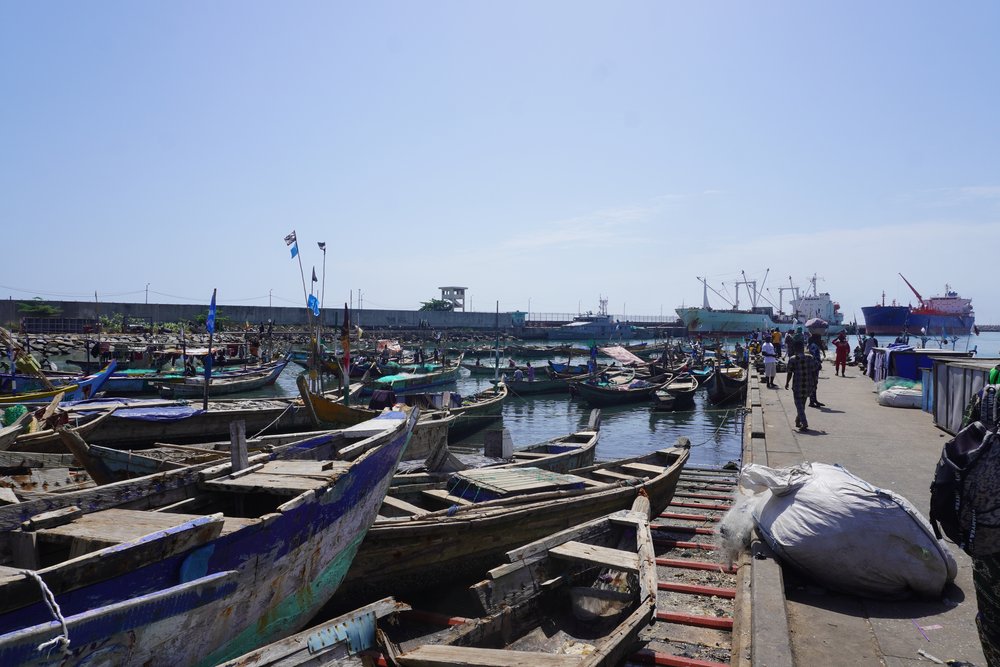 Image de Société. La pêche artisanale maritime en Côte d'Ivoire reprend ses activités à partir du 1er août 2024. Cette décision, annoncée par le ministère des Ressources Animales et Halieutiques, marque la fin d'une période de repos biologique destinée à préserver les stocks de poissons. Les pêcheurs artisanaux ont donc été invités à reprendre leurs activités dès le début du mois d'août, après une période de suspension qui visait à garantir une meilleure durabilité des ressources halieutiques du pays. La Reprise des Activités de Pêche Artisanale Maritime La Côte d'Ivoire, riche en ressources halieutiques, a mis en place un calendrier rigoureux pour réguler la pêche afin de garantir la pérennité de ses stocks maritimes. Le 31 juillet 2024, le ministère des Ressources Animales et Halieutiques a annoncé que les unités de pêche artisanale maritime pourraient reprendre leurs activités à partir du 1er août 2024 à 00h01mn. Cette décision marque la fin d'une période de repos biologique qui a duré un mois et pendant laquelle les activités de pêche ont été suspendues pour permettre aux stocks de poissons de se régénérer. Le repos biologique est une mesure cruciale pour la gestion durable des ressources halieutiques. Il permet de réduire la pression sur les stocks de poissons et d'assurer leur régénération naturelle. La reprise des activités de pêche artisanale, qui inclut principalement les petites embarcations et les techniques de pêche à faible impact, est donc un moment attendu avec impatience par les pêcheurs locaux. Cependant, la transition vers la reprise doit être gérée avec soin pour éviter une exploitation excessive des ressources. L'Importance du Repos Biologique pour les Autres Segments de Pêche Parallèlement à la reprise des activités de pêche artisanale maritime, les autorités ivoiriennes ont maintenu le repos biologique pour d'autres segments de la pêcherie. Ces segments, dont l'ouverture est prévue pour le 1er septembre 2024, doivent continuer à respecter cette période de repos pour garantir la reconstitution des stocks de poissons. Cette mesure est essentielle pour assurer l'équilibre écologique et prévenir la surpêche. Le repos biologique s'applique à différentes méthodes de pêche, y compris celles pratiquées par les grands chalutiers et les unités industrielles. La prolongation de cette période pour certains segments témoigne de l'engagement du gouvernement ivoirien en faveur d'une gestion durable des ressources maritimes. La mise en œuvre de cette politique nécessite une surveillance rigoureuse et la coopération de tous les acteurs de la chaîne de valeur de la pêche. Les Défis de la Mise en Œuvre du Repos Biologique La mise en œuvre efficace du repos biologique présente plusieurs défis. La surveillance des zones de pêche et le respect des restrictions par les pêcheurs sont cruciaux pour la réussite de cette politique. Les autorités doivent veiller à ce que les mesures soient strictement appliquées et que les contrevenants soient sanctionnés de manière appropriée. En parallèle, des efforts de sensibilisation doivent être déployés pour informer les pêcheurs sur les avantages de ces périodes de repos pour la durabilité des ressources. Les autorités ivoiriennes travaillent en étroite collaboration avec les organisations de pêche locales pour assurer la réussite de ces initiatives. Les dialogues continus entre les parties prenantes, y compris les pêcheurs, les gestionnaires des ressources maritimes et les chercheurs, sont essentiels pour adapter les politiques en fonction des besoins et des réalités du terrain. L'Impact sur les Communautés Côtières et l'Économie Locale La pêche artisanale joue un rôle vital dans les économies côtières de la Côte d'Ivoire. Elle constitue une source importante de revenus pour de nombreuses familles et est un pilier fondamental de la sécurité alimentaire dans les régions côtières. La période de repos biologique, bien qu'importante pour la durabilité des ressources, peut avoir des impacts économiques temporaires sur les communautés locales. Les autorités doivent mettre en place des mécanismes de soutien pour aider les pêcheurs à surmonter les défis économiques liés à la suspension temporaire de leurs activités. Des programmes de soutien et de formation peuvent être mis en place pour aider les pêcheurs à diversifier leurs sources de revenus et à s'adapter aux périodes de repos biologique. Il est également crucial d'évaluer régulièrement les impacts économiques et sociaux de ces politiques pour garantir qu'elles bénéficient à la fois à l'environnement et aux communautés locales. Vers une Gestion Durable des Ressources Halieutiques La gestion durable des ressources halieutiques est essentielle pour préserver les écosystèmes marins et soutenir les économies côtières. Les mesures telles que le repos biologique sont des outils importants dans ce processus, mais elles doivent être accompagnées d'une gestion intégrée et d'une surveillance continue. Les politiques doivent être basées sur des données scientifiques solides et adaptées aux évolutions des stocks de poissons et aux besoins des communautés locales. Les autorités ivoiriennes, en collaboration avec les organisations locales et internationales, s'efforcent de créer un cadre de gestion qui équilibre les besoins de conservation avec les impératifs économiques. La coopération internationale, l'innovation dans les méthodes de pêche et l'engagement des communautés locales sont tous des éléments clés pour atteindre cet objectif. Quel Futur pour la Pêche Artisanale en Côte d'Ivoire ? La reprise des activités de pêche artisanale maritime en Côte d'Ivoire et le maintien du repos biologique pour d'autres segments de la pêcherie illustrent l'engagement du gouvernement envers la durabilité des ressources halieutiques. Ces initiatives reflètent une prise de conscience croissante des enjeux environnementaux et économiques liés à la gestion des ressources maritimes. Cependant, la réussite de ces politiques dépendra de leur mise en œuvre effective et de la capacité des parties prenantes à travailler ensemble pour atteindre les objectifs fixés. Les défis sont nombreux, mais les opportunités de renforcer la durabilité et de soutenir les communautés côtières sont également considérables. À l’avenir, comment la Côte d'Ivoire pourra-t-elle équilibrer les besoins de conservation avec les impératifs économiques de ses communautés côtières ? Quels seront les impacts à long terme des mesures actuelles sur la durabilité des stocks de poissons et la résilience des économies locales ? Ces questions méritent une réflexion approfondie pour guider les politiques futures et assurer un avenir prospère pour la pêche artisanale en Côte d'Ivoire.