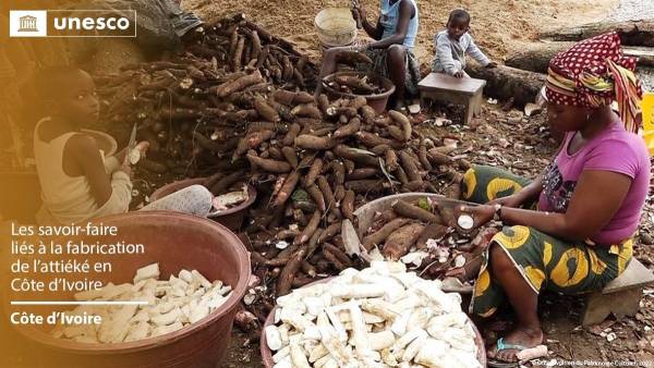 Image de Art. Le 4 décembre 2024, la Côte d'Ivoire a célébré une victoire majeure sur la scène internationale. L'Attiéké, ce plat emblématique qui fait partie intégrante de la culture ivoirienne, a été inscrit au patrimoine culturel immatériel de l'humanité par l'UNESCO. Cette distinction, qui récompense un savoir-faire ancestral, est le fruit de longues années de plaidoyer, notamment de la part de Ramata Ly-Bakayoko, la représentante permanente de la Côte d'Ivoire auprès de l’UNESCO. L'Attiéké n'est pas seulement un mets apprécié, il représente un symbole fort de l’identité ivoirienne, un héritage transmis de génération en génération et un vecteur d'unité pour les communautés locales. Cette inscription n'est pas seulement un hommage à un plat traditionnel, mais aussi un moyen de protéger et de valoriser un savoir-faire unique. Mais que révèle réellement cette reconnaissance mondiale sur l’importance de l’Attiéké dans la société ivoirienne et au-delà ? Un Plat Emblématique au Cœur de la Culture Ivoirienne L'Attiéké, qui peut être décrit comme une semoule de manioc légèrement fermentée, est bien plus qu'un simple accompagnement culinaire en Côte d'Ivoire. Ce mets est omniprésent dans le quotidien des Ivoiriens, et sa consommation est indissociable des moments forts de la vie collective. Des mariages aux funérailles, en passant par les réunions communautaires et les fêtes populaires, l'Attiéké est un lien social et une tradition vivante. Il incarne une partie essentielle de la culture ivoirienne, profondément ancrée dans les coutumes et les rites locaux. “L’Attiéké fait partie intégrante de nos vies, il est consommé tous les jours, mais il accompagne également les grandes cérémonies de notre société”, souligne Ramata Ly-Bakayoko, la déléguée permanente de la Côte d’Ivoire à l'UNESCO, à l’occasion de l'annonce de cette distinction. Elle explique également que l'Attiéké représente bien plus qu'un simple aliment : il est “une clé de la cohésion sociale” et de l'identité nationale. Sa reconnaissance par l'UNESCO témoigne d’une volonté de préserver et de promouvoir ce patrimoine culinaire unique, tout en le faisant connaître à l’échelle mondiale. L’Attiéké : Un Héritage Transcendant les Frontières L’histoire de l’Attiéké est intimement liée aux peuples lagunaires de la Côte d'Ivoire, principalement les communautés vivant autour du grand lac éponyme. Ces peuples ont développé, au fil des siècles, un savoir-faire exceptionnel dans la fabrication de ce plat, transmis principalement de mère en fille. Mais, loin de se limiter à ces communautés, l’Attiéké a peu à peu gagné d’autres régions de la Côte d'Ivoire et s’est répandu bien au-delà des frontières ivoiriennes. De nos jours, il est également consommé dans des pays voisins comme le Burkina Faso, le Togo et le Bénin, et a même trouvé une place dans des régions aussi éloignées que la Chine. Ce phénomène de diffusion montre à quel point l’Attiéké est devenu un symbole de la culture ouest-africaine, un héritage universel. Ce plat est également devenu un vecteur de transmission culturelle et sociale, tant pour les générations locales que pour les populations étrangères. "Lorsque vous mangez de l'Attiéké, vous ne consommez pas seulement un aliment, vous goûtez à une histoire, une culture, un savoir-faire", affirme un expert en gastronomie ivoirienne. Ce voyage culinaire révèle la capacité de l'Attiéké à tisser des liens entre des communautés diverses, et à promouvoir la compréhension interculturelle à travers la cuisine. Une Fabrication Artisanal Exigeante : Les Secrets de la Préparation La fabrication de l’Attiéké repose sur des techniques ancestrales qui exigent patience, précision et savoir-faire. Tout commence par la récolte du manioc, un tubercule qui, une fois transformé, donnera cette semoule unique. Le processus de fabrication est laborieux : le manioc est d'abord lavé, séché, puis broyé pour obtenir une farine fine. Cette farine est ensuite tamisée avant d’être mélangée avec du manioc fermenté. Enfin, la pâte ainsi obtenue est cuite à la vapeur, ce qui donne à l'Attiéké sa texture légère et son goût délicatement acidulé. Cet artisanat, qui fait appel à des gestes précis et un savoir-faire transmis de génération en génération, est l'élément clé de la distinction attribuée par l’UNESCO. C’est cette transmission de connaissances entre les générations qui a permis à l’Attiéké de se pérenniser, de conserver ses caractéristiques et de s’adapter aux évolutions de la société tout en restant fidèle à ses racines. “Chaque geste dans la préparation de l’Attiéké a une signification, il s’agit de la continuité d’une tradition”, explique une artisan de la région lagunaire. Une Reconnaissance Mondiale : Un Label d’Excellence L’Inscription de l’Attiéké au patrimoine culturel immatériel de l’humanité par l’UNESCO constitue une consécration internationale de la valeur culturelle de ce plat. En 2023, l’Organisation Africaine de la Propriété Intellectuelle (OAPI) avait déjà attribué une Indication Géographique Protégée (IGP) à l'Attiéké des lagunes, un autre label reconnu à l’échelle mondiale qui garantissait la qualité et l’origine spécifique de ce produit. Cette protection a été renforcée en 2024 par un label de marque collective, interdisant l’utilisation du nom « Attiéké » pour des produits similaires fabriqués en dehors de la Côte d’Ivoire. Cette double reconnaissance permet de défendre l’authenticité du produit et de soutenir la filière dans son développement économique. “La reconnaissance par l’UNESCO, après l’IGP, marque un tournant majeur pour l’Attiéké”, commente un économiste spécialisé dans le secteur alimentaire. “Cela ouvre de nouvelles perspectives pour les producteurs ivoiriens, en particulier en termes de visibilité sur les marchés internationaux.” Ce label est également un formidable levier pour la promotion du tourisme gastronomique en Côte d'Ivoire, permettant au pays d’attirer des visiteurs curieux de découvrir ce patrimoine culinaire. La reconnaissance mondiale de l’Attiéké pourrait également jouer un rôle clé dans le développement économique de la Côte d'Ivoire. En tant que produit traditionnel phare, l’Attiéké est un moteur de l’économie locale. De nombreux producteurs et artisans ivoiriens vivent de cette filière, et la demande croissante sur les marchés internationaux pourrait stimuler encore davantage la production. Cependant, pour que ce succès soit durable, il est nécessaire de soutenir les producteurs locaux, de préserver la qualité du produit et de développer des stratégies de marketing adaptées à une clientèle internationale. L’impact économique ne se limite pas à la production alimentaire, mais englobe également des secteurs tels que le tourisme, la culture et l'artisanat. En effet, de nombreux touristes viennent en Côte d'Ivoire pour découvrir sa culture à travers sa cuisine, et l'Attiéké en est un des principaux ambassadeurs. La promotion de ce patrimoine culinaire pourrait ainsi contribuer à diversifier l’offre touristique et à augmenter les retombées économiques du secteur. L’Inscription de l’Attiéké au patrimoine culturel immatériel de l'humanité est une victoire pour la Côte d'Ivoire, qui voit ainsi son patrimoine culinaire reconnu au niveau international. Cette distinction ne concerne pas uniquement un plat, mais également un savoir-faire, une histoire et une culture. Elle souligne l’importance de la préservation des traditions dans un monde globalisé, où le patrimoine immatériel peut parfois être mis en danger par l’homogénéisation des cultures. La reconnaissance de l’Attiéké est une invitation à célébrer la richesse des diversités culturelles et à promouvoir les savoir-faire locaux. Mais au-delà de cette reconnaissance, une question persiste : comment les pays africains peuvent-ils, au-delà de l’Attiéké, faire en sorte que d’autres éléments de leur patrimoine culinaire et culturel bénéficient d’une attention similaire, et que ces savoir-faire traditionnels soient réellement protégés face aux défis de la mondialisation ?