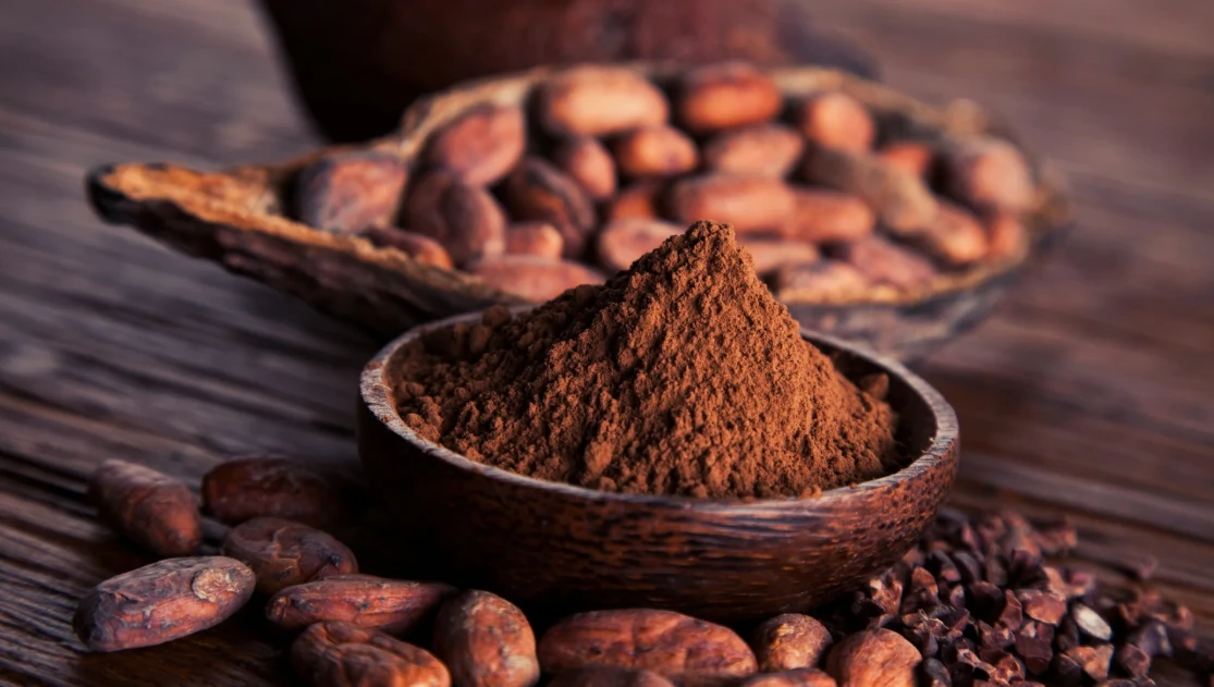 Image de Agriculture. Le marché du cacao traverse une période de turbulence sans précédent. Entre virus dévastateurs, dérèglements climatiques et manque d’investissements, la production mondiale est sous pression, tandis que la demande reste soutenue. Les amateurs de chocolat devront se préparer à des étagères moins garnies et à des prix en hausse constante. Plongée dans les défis structurels, climatiques et sanitaires qui menacent l’or brun et pourraient maintenir les cours à des niveaux records en 2025. Une production sous pression : Le virus qui ravage les plantations La flambée des prix du cacao s’explique en grande partie par les problèmes de production persistants, notamment en Afrique de l’Ouest, qui concentre plus des deux tiers de la production mondiale. Le virus de l’œdème des pousses du cacaoyer (cacao swollen-shoot virus), transmis par des cochenilles, continue de faire des ravages. Cette maladie, qui affaiblit les arbres, réduit leur rendement et peut même les tuer, aggrave considérablement le déficit de l’offre. En Côte d’Ivoire et au Ghana, premiers producteurs mondiaux, les planteurs sont confrontés à une situation critique. Le manque d’investissements dans l’agriculture et l’accès limité aux produits phytosanitaires favorisent la propagation du virus. Les petits producteurs, déjà vulnérables face à des conditions de travail difficiles, peinent à contenir cette crise sanitaire. La Niña : Un nouveau coup dur pour les cultures de cacao Si les virus menacent les plantations, les dérèglements climatiques n’arrangent rien. Le phénomène La Niña, qui a succédé à El Niño, apporte son lot de défis supplémentaires. Caractérisé par des températures anormalement basses dans l’océan Pacifique, La Niña provoque des pluies abondantes, des températures plus fraîches et des événements climatiques extrêmes. Ces conditions perturbent les cultures de cacao déjà fragilisées, réduisant encore les rendements et exacerbant les problèmes de production. « La Niña est un véritable coup dur pour les planteurs. Les pluies excessives favorisent la propagation des maladies, tandis que les températures plus fraîches ralentissent la croissance des cacaoyers », explique un climatologue. Ces perturbations climatiques risquent de maintenir les prix du cacao à des niveaux élevés, voire de les faire grimper davantage. Les données de l’Organisation internationale du cacao (ICCO) confirment une tendance alarmante. Le ratio stocks/broyage a chuté à 27 %, son niveau le plus bas depuis 40 ans. Pour la quatrième année consécutive, le marché du cacao sera en déficit, avec un manque estimé à 478 000 tonnes pour la campagne 2023-2024. Selon les prévisions, ce déficit pourrait s’aggraver en 2025, mettant encore plus sous pression les acteurs du secteur. Face à cette situation, les géants du chocolat comme Barry Callebaut n’ont d’autre choix que de répercuter ces hausses de coûts sur les consommateurs. Les analystes prévoient une augmentation des prix de vente pouvant atteindre 15 %. « Les consommateurs devront s’habituer à payer plus cher leur chocolat. La crise actuelle n’est pas près de s’arrêter », prévient un économiste spécialisé dans les matières premières. Une lueur d’espoir pour les planteurs ? Pour les planteurs ivoiriens, qui fournissent 45 % de la production mondiale, la hausse des prix internationaux du cacao pourrait sembler bénéfique. En théorie, elle se traduirait par des revenus plus élevés. Cependant, la réalité est plus complexe. Les coûts de production augmentent également, en raison des dépenses supplémentaires liées à la lutte contre les maladies et aux adaptations nécessaires face aux changements climatiques. De plus, les petits producteurs, souvent peu organisés et dépendants des intermédiaires, ne bénéficient pas toujours pleinement de la hausse des prix. « Les planteurs ont besoin de soutien technique et financier pour faire face à ces défis. Sans cela, la hausse des prix ne se traduira pas par une amélioration de leurs conditions de vie », souligne un représentant d’une coopérative agricole. La crise actuelle du cacao pose des questions cruciales sur l’avenir de cette filière essentielle pour de nombreux pays d’Afrique de l’Ouest. Comment les acteurs du secteur peuvent-ils s’adapter aux défis climatiques et sanitaires ? Quelles solutions mettre en place pour soutenir les petits producteurs et garantir une production durable ? Alors que les prix du cacao atteignent des sommets, une question demeure : cette crise marquera-t-elle un tournant pour le marché mondial du cacao, ou n’est-elle que le début d’une spirale infernale ?