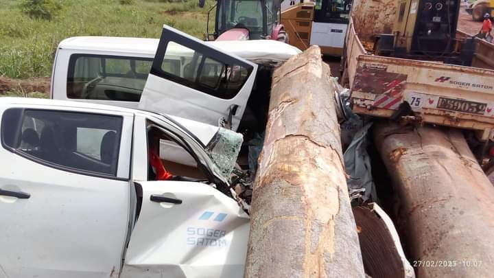 Image de Faits Divers. Un grumier transportant des billes de bois a vu l'une de ses chaînes rompre. De ce fait, les billes de bois qu'il transportait, ont fait des dégâts dans leur chute, cependant aucune perte en vie humaine n'est à déplorer. Et oui, que c'est terrifiant de rencontrer ces gros camions sur la route, et vous, avez vous peur du grumier?