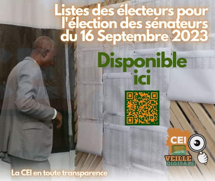 Image de Politique. Les élections sénatoriales sont prévues ce weekend particulièrement le samedi 16 Septembre soit dans 2 jours. Il faut dire que le RHDP, parti au pouvoir, après avoir remporté majoritairement les élections municipales et régionales, part grand favori pour les sénatoriales. Rappelons que ce sont ces nouveaux élus qui constituent l'électorat des sénatoriales. Que pensez vous de l'élection sénatoriale ?