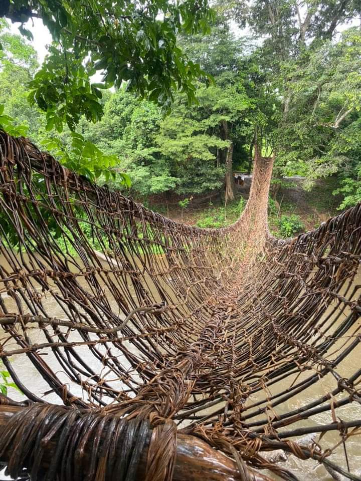 Image de Voyages. "Connue comme la cité des montagnes d'or, Man, citée par Houphouet Boigny Félix, se trouve au nord-ouest de la Côte d'Ivoire. Elle est le foyer de plusieurs districts montagneux tels que Tonkpi, Guemon et Cavally. Située à 600 km d'Abidjan, Man offre un paysage vallonné, parfois ressemblant à une patinoire. La ville dispose d'un aéroport desservi par Air Côte d'Ivoire trois fois par semaine (mardi, jeudi et dimanche), ainsi qu'une gare routière accueillant de nombreux bus. Les frais de transport varient : le bus coûte 9 100 F.CFA, les billets d'avion aller-retour oscillent entre 95 000 et 120 000 F.CFA, tandis qu'en voiture privée, cela avoisine les 35 000 ou 40 000 F.CFA. Concernant l'hébergement, les prix peuvent varier de 1 000 F.CFA à 150 000 F.CFA par nuitée, selon les commodités. Il est même possible de camper en toute sécurité si vous avez une tente. La ville et ses environs sont sécurisés grâce à la présence du Bataillon de la Sécurité et de l'Ordre, en plus des infrastructures médicales comme le CHR, les centres de santé urbains et les cliniques privées. Man abrite l'administration publique, une université publique et plusieurs universités privées. Elle possède plus de 15 sites touristiques, dont la cascade naturelle de Zadepleu, ainsi que plus de 20 autres lieux à découvrir bientôt. Les points forts de la ville incluent des visites nocturnes, des constructions selon les coutumes Dan, des manifestations artistiques comme danses, masques et objets d'art, sans oublier le célèbre pagne Dan. Certains monuments historiques, comme la résidence coloniale du gouverneur Pierre Mesmer, le centre émetteur de la RTI, ou encore le lieu d’arrestation de Samory Touré, contribuent à l'attrait de la ville. La région est aussi réputée pour ses montagnes, dont le Mont Nimba (1 752 m), le Mont Tonkpi (1 300 m) et la Dent de Man (881m), ainsi que sa population chaleureuse et accueillante. En somme, Man en Côte d'Ivoire est une destination riche en histoire, en beauté naturelle et en hospitalité.