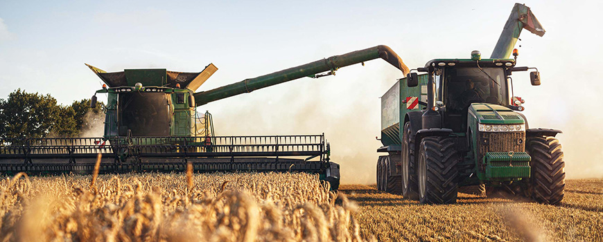 Image de Agriculture. Lorsque je pense à l'agriculture, l'image des champs baignés de soleil et des agriculteurs travaillant la terre avec des outils rudimentaires émerge dans mon esprit. L'agriculture traditionnelle, ancrée dans l'histoire de nos sociétés, reste un pilier essentiel de notre héritage agricole. C'est un mode de production intimement lié aux cycles naturels, aux savoirs transmis de génération en génération. Les cultures vivrières, les petites exploitations familiales, et la polyculture caractérisent souvent ce mode de production. Les agriculteurs traditionnels s'appuient sur des méthodes agricoles éprouvées par le temps, privilégiant souvent la biodiversité et une utilisation modérée des intrants chimiques. Cependant, cette forme d'agriculture peut parfois être confrontée à des défis tels que la faible productivité et la vulnérabilité aux changements climatiques. L'Agriculture Biologique : La Rencontre entre Tradition et Durabilité Dans un monde où la conscience environnementale s'accroît, l'agriculture biologique se profile comme une réponse à la fois réfléchie et innovante. Ce mode de production repose sur des principes écologiques, éliminant ou limitant l'utilisation de produits chimiques de synthèse et privilégiant des pratiques agricoles respectueuses de l'écosystème. L'agriculture biologique incarne une synthèse entre les méthodes traditionnelles et les exigences de durabilité contemporaines. Les rotations de cultures, la gestion diversifiée des cultures, et l'accent mis sur la santé du sol sont autant d'éléments clés de cette approche. Elle suscite un intérêt croissant chez les consommateurs conscients de l'impact environnemental de leur alimentation, bien que des défis subsistent, notamment en termes de rendement et de coûts. L'Agriculture Conventionnelle : La Révolution Verte et Ses Défis L'avènement de l'agriculture conventionnelle, souvent associée à la Révolution Verte, a transformé radicalement la manière dont nous cultivons nos terres. Ce mode de production repose sur l'utilisation intensive d'intrants tels que les engrais chimiques, les pesticides et les machines agricoles modernes. Il vise à accroître la productivité et à répondre aux besoins alimentaires croissants de la population mondiale. L'agriculture conventionnelle a indéniablement entraîné des gains spectaculaires en termes de rendement, mais elle n'est pas exempte de critiques. Les préoccupations liées à la dégradation des sols, à la pollution de l'eau et à la perte de biodiversité ont incité à repenser les modèles agricoles intensifs. Le défi actuel est de concilier la nécessité de nourrir une population mondiale en expansion avec les impératifs de durabilité environnementale. L'Agriculture de Conservation : Préserver la Terre pour l'Avenir Face aux défis environnementaux posés par l'agriculture conventionnelle, l'agriculture de conservation émerge comme une alternative axée sur la préservation des ressources naturelles. Ce mode de production cherche à minimiser le labourage du sol, favorisant ainsi la stabilité des sols, la réduction de l'érosion et la préservation de la vie microbienne du sol. Les techniques telles que la couverture végétale, les rotations de cultures et l'utilisation de techniques de semis direct contribuent à restaurer la santé des sols tout en maintenant une productivité agricole viable. L'agriculture de conservation s'inscrit dans une vision à long terme, reconnaissant que la préservation de la fertilité des sols est essentielle pour assurer la sécurité alimentaire mondiale. L'Aquaculture : Élever les Cultures Sous les Vagues Alors que la demande mondiale en produits aquatiques continue de croître, l'aquaculture se positionne comme une réponse à ce besoin croissant. Cette forme d'agriculture, souvent désignée comme la "pisciculture", implique l'élevage contrôlé de poissons, de crustacés et d'autres organismes aquatiques. Elle joue un rôle crucial dans la sécurité alimentaire mondiale en fournissant une source de protéines diversifiée. Cependant, l'aquaculture n'est pas exempte de controverses. Des préoccupations telles que la durabilité environnementale, les problèmes de bien-être animal et les risques de propagation des maladies ont émergé avec l'expansion de cette industrie. Il devient essentiel de trouver un équilibre entre la satisfaction des besoins alimentaires et la préservation des écosystèmes aquatiques. L'Agriculture Urbaine : Redéfinir les Frontières de la Culture À l'heure où la population mondiale devient de plus en plus urbaine, l'agriculture urbaine se présente comme une solution créative pour rapprocher la production alimentaire des centres urbains. Des jardins communautaires aux fermes verticales, cette approche repense l'idée traditionnelle de l'agriculture en la ramenant au cœur même des villes. L'agriculture urbaine offre des avantages tels que la réduction des émissions liées au transport des produits alimentaires, la promotion de la durabilité et la création de liens communautaires. Cependant, elle doit également relever des défis tels que la disponibilité limitée de terres et les contraintes liées aux ressources. L'équilibre entre l'urbanisation croissante et la nécessité de nourrir les populations urbaines demeure un défi crucial. L'Agriculture de Précision : L'Ère de la Technologie Agricole L'ère moderne a vu l'émergence de l'agriculture de précision, où la technologie devient un outil central dans la gestion des exploitations agricoles. L'utilisation de capteurs, de drones, de systèmes d'information géographique (SIG) et d'autres technologies permet aux agriculteurs de prendre des décisions éclairées basées sur des données en temps réel. Cette approche réduit les gaspillages, optimise l'utilisation des ressources et contribue à une agriculture plus durable. Cependant, elle n'est pas sans soulever des questions liées à la dépendance technologique, à la confidentialité des données et à l'accès aux nouvelles technologies, posant ainsi des défis en matière d'équité. La Quête de l'Équilibre : Intégrer les Différents Modes de Production La diversité des modes de production agricole souligne la complexité du défi auquel notre monde est confronté pour nourrir une population en constante croissance tout en préservant notre planète. Chaque mode de production a ses avantages et ses inconvénients, ses adeptes et ses critiques. La clé réside peut-être dans la recherche d'un équilibre entre ces approches variées. Comment pouvons-nous intégrer ces différents modes de production pour créer un système alimentaire mondial résilient et durable? Comment assurer que les bénéfices de l'innovation technologique ne creusent pas les écarts entre les grandes exploitations et les petits agriculteurs? Quels sont les compromis nécessaires pour équilibrer les impératifs de la production alimentaire et les exigences de préservation environnementale? En partageant ces réflexions dans ce forum, je m'engage dans une conversation dynamique avec cette communauté diverse. Les différents modes de production agricole sont autant de facettes d'un puzzle complexe, et chaque voix contribue à éclairer un aspect unique de cette vaste toile. Comment percevez-vous ces différents modes de production? Quels sont les défis et les opportunités que vous voyez émerger dans le paysage agricole contemporain? La discussion ouverte et respectueuse de cette communauté peut être la clé pour élaborer des solutions novatrices et durables pour l'avenir de notre agriculture.