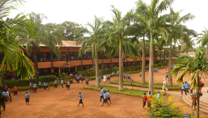 Image de Études/Devoirs. Le choix d'un cursus après le lycée est l'un des défis cruciaux auxquels sont confrontés les étudiants. Cette décision a des implications profondes, non seulement sur le plan académique, mais aussi sur le parcours professionnel et personnel à venir. Explorons donc de manière approfondie les divers aspects de ce choix significatif, en considérant les multiples options disponibles et en réfléchissant aux facteurs qui peuvent influencer cette décision importante. 1. L'Exploration des Options Éducatives: Le monde des études supérieures offre une multitude de choix, de la formation technique et professionnelle aux programmes universitaires classiques. Les formations techniques, souvent dispensées dans des instituts spécialisés, sont axées sur l'acquisition de compétences pratiques et sont conçues pour préparer les étudiants à des carrières spécifiques. D'autre part, les programmes universitaires offrent une approche plus théorique, ouvrant la voie à des domaines variés tels que les sciences, les arts, les sciences sociales, et bien d'autres. Il est crucial de prendre le temps d'explorer ces différentes voies, de comprendre les exigences de chaque programme et de réfléchir à la manière dont ils correspondent à vos intérêts, vos compétences et vos objectifs à long terme. Des entretiens avec des conseillers d'orientation, des visites de campus, et des stages peuvent également être des outils utiles pour mieux cerner vos préférences. 2. Tenir Compte des Passions et des Intérêts: Le choix d'un cursus devrait idéalement s'aligner sur vos passions et vos intérêts. Penser à ce qui vous motive et vous excite peut être une boussole précieuse pour naviguer dans la multitude d'options. Si vous êtes passionné par les sciences, peut-être envisager des études en ingénierie, en biologie ou en physique. Pour les amoureux des arts, les filières comme les beaux-arts, le cinéma, ou la littérature pourraient être plus adaptées. Il est important de se rappeler que le succès académique et professionnel est souvent lié à l'investissement passionné dans son domaine d'études. Si vous êtes profondément intéressé par ce que vous apprenez, il est plus probable que vous vous investissiez pleinement dans votre parcours éducatif et professionnel. 3. Considérer les Perspectives de Carrière: Alors que l'exploration des passions est cruciale, il est également sage de considérer les perspectives de carrière associées à votre choix d'études. Certains domaines peuvent offrir des débouchés plus clairs que d'autres sur le marché du travail. Cela ne signifie pas nécessairement sacrifier la passion pour la sécurité professionnelle, mais plutôt trouver un équilibre qui aligne vos intérêts avec des opportunités concrètes. La recherche sur les tendances du marché du travail, les taux d'emploi dans différents secteurs, et les compétences recherchées peut fournir des indications utiles. Les stages, les foires professionnelles et les entretiens avec des professionnels du secteur peuvent également offrir des perspectives concrètes sur la réalité du monde professionnel associé à un domaine d'études spécifique. 4. Prendre en Compte les Tendances Émergentes: Le monde évolue rapidement, et certaines industries connaissent des changements rapides et profonds. Il est judicieux de prendre en compte les tendances émergentes et les évolutions technologiques lors du choix d'un cursus. Des domaines tels que l'intelligence artificielle, la cybersécurité, et les énergies renouvelables émergent comme des secteurs clés pour l'avenir. S'adapter aux tendances émergentes peut non seulement renforcer la pertinence de vos compétences mais aussi ouvrir des opportunités dans des domaines en croissance. 5. Évaluer le Type d'Environnement Éducatif: Le choix d'un établissement d'enseignement supérieur est tout aussi important que le choix du cursus lui-même. Chaque université ou institut a sa propre culture académique, ses ressources, et son réseau professionnel. Certains étudiants préfèrent des institutions de grande envergure offrant une diversité de programmes et d'opportunités, tandis que d'autres se sentent mieux dans des environnements plus petits et plus spécialisés. La recherche sur les programmes offerts, la réputation académique, les ressources disponibles, et la vie étudiante peut aider à affiner le choix de l'établissement éducatif. Les retours d'anciens élèves et les visites sur le campus peuvent également donner un aperçu de l'expérience éducative globale. 6. Gérer les Pressions Externes: Le choix d'un cursus après le lycée est souvent accompagné de pressions externes, qu'elles proviennent des parents, des enseignants, ou de la société en général. Il est important de reconnaître ces influences tout en gardant à l'esprit que la décision ultime doit refléter vos propres aspirations et objectifs. Les discussions ouvertes avec les personnes de confiance, y compris les professionnels de l'orientation, peuvent aider à naviguer à travers ces pressions tout en maintenant un alignement avec vos propres aspirations. 7. Être Ouvert aux Changements: Enfin, il est crucial de comprendre que le choix d'un cursus n'est pas nécessairement figé. Les intérêts et les objectifs peuvent évoluer au fil du temps, et il est tout à fait acceptable d'ajuster sa trajectoire éducative en conséquence. Certaines personnes découvrent leur véritable passion après avoir commencé un programme et choisissent de changer de direction. L'ouverture à l'adaptabilité peut être une qualité précieuse tout au long du parcours éducatif. En conclusion, le choix d'un cursus après le lycée est une étape significative qui nécessite une réflexion approfondie et une exploration minutieuse. Que vous soyez attiré par les sciences, les arts, la technologie, ou tout autre domaine, la clé réside dans la compréhension de vous-même, de vos passions, et de vos aspirations. Alors, je vous demande : quelles considérations guident votre choix de cursus, et quelles sont vos principales priorités dans la recherche d'un parcours éducatif qui orientera votre avenir ?