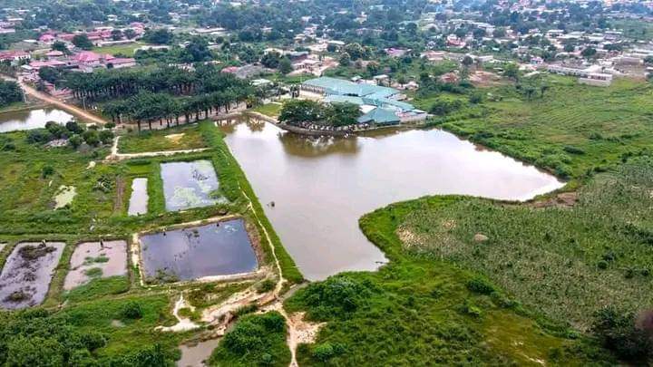 Image de Faits Divers. Le meurtre de Ouédraogo Korotoum et de son fils Sawadogo Lamine, découverts sans vie le mardi 12 décembre 2023 dans un champ entre Zamaka et Yakassé Feyassé, a conduit à l'arrestation du principal suspect. Une tragédie récente a ébranlé la Côte d’Ivoire, cette fois-ci dans la région d'Abengourou. Le mardi 12 décembre 2023, le corps d'Ouédraogo Korotoum, une Burkinabé née en 1993, ainsi que celui de son fils Sawadogo Lamine, âgé de moins de 5 ans, a été retrouvé dans un champ, plongeant la région dans la consternation. Les deux victimes ont été retrouvées égorgées, un événement dévastateur pour la communauté locale. Selon nos sources, des enfants du voisinage, alarmés par l'absence de Korotoum et de son fils à la maison, ont découvert la scène atroce dans un champ de persil situé entre Zamaka et Yakassé Feyassé. Ils les ont retrouvés étendus dans leur propre sang, victimes d'une violence inimaginable. Le frère de Korotoum, O.A., qui les avait accompagnés, était retourné au village plus tôt dans l'après-midi, laissant les deux victimes seules dans le champ. Le présumé assassin, un ressortissant togolais dont l'identité demeure inconnue pour le moment, aurait pris la fuite après avoir commis cet acte abominable. Heureusement, les forces de l'ordre ont rapidement réagi suite à l'alerte, parvenant à l'appréhender le mercredi 13 décembre 2023 à Padiégnan, un village proche de Yakassé Feyassé. Actuellement, il est détenu en garde à vue et devra rendre des comptes devant la justice. Des interrogations subsistent quant aux motivations de ce crime, notamment après que le suspect ait demandé de l'argent à son employeur la nuit précédant le drame, évoquant un départ imminent du pays. Ces éléments pourraient se révéler cruciaux pour l'avancée de l'enquête en cours. Pendant ce temps, les autorités locales s'emploient à élucider les circonstances entourant ce double meurtre, alors que la communauté cherche à comprendre les raisons ayant conduit cet individu à s'en prendre à une mère et à son jeune fils.