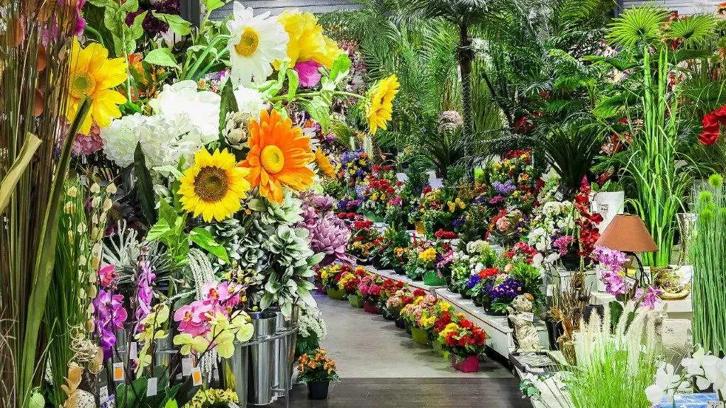 Image de Santé. Lorsque l'on rend visite à une personne hospitalisée, offrir des fleurs est un geste universellement reconnu comme une marque de compassion et de soutien. Cependant, le choix entre des fleurs naturelles et artificielles peut être un dilemme. Ayant été récemment confrontée à cette situation, je souhaite partager mon opinion personnelle et mon expérience sur ce sujet. À première vue, l'idée d'apporter des fleurs naturelles semble être le choix le plus approprié. Les fleurs fraîches sont souvent associées à la vie, à la beauté naturelle, et à la fragilité, des aspects qui peuvent être d'un grand réconfort dans un environnement clinique comme l'hôpital. Elles apportent une touche de couleur et de fraîcheur dans une chambre d'hôpital souvent perçue comme froide et impersonnelle. De plus, l'odeur naturelle des fleurs peut être apaisante et créer une atmosphère plus chaleureuse. Cependant, en me renseignant davantage et en discutant avec le personnel hospitalier, j'ai appris que les fleurs naturelles peuvent ne pas être le meilleur choix dans un cadre hospitalier. D'abord, elles peuvent poser des risques d'allergies. Dans un lieu où des personnes souffrent déjà de diverses maladies, il est crucial de minimiser les facteurs pouvant aggraver leur état. De plus, les fleurs naturelles nécessitent un entretien régulier : elles doivent être arrosées, leur eau changée, et finalement être jetées une fois fanées, ce qui peut ajouter une charge de travail au personnel soignant ou à la famille déjà préoccupée. Face à ces contraintes, les fleurs artificielles se présentent comme une alternative viable. Avec les progrès technologiques, les fleurs artificielles d'aujourd'hui sont étonnamment réalistes, et peuvent imiter presque parfaitement l'aspect et la texture des fleurs naturelles. Elles offrent une durabilité que les fleurs naturelles ne peuvent pas égaler, ne nécessitant ni eau ni entretien particulier, ce qui les rend idéales pour une chambre d'hôpital. De plus, elles ne présentent aucun risque d'allergie, ce qui les rend sûres pour tous les patients et le personnel hospitalier. Néanmoins, opter pour des fleurs artificielles peut parfois être perçu comme moins personnel ou moins authentique. Certains pourraient penser que choisir des fleurs artificielles équivaut à choisir la facilité, ou que cela ne reflète pas le même niveau de soin et d'attention que des fleurs fraîches. Pourtant, à mon avis, l'intention derrière le geste reste la même : apporter un peu de réconfort et de couleur dans la vie d'une personne hospitalisée. Lors de mon expérience personnelle, après avoir pesé le pour et le contre, j'ai finalement opté pour un arrangement de fleurs artificielles de haute qualité. J'ai choisi des couleurs vives pour égayer la chambre et un design qui imitait mes fleurs préférées. La personne à qui je les ai offertes a été touchée par le geste et a apprécié la beauté et la praticité de ces fleurs. Elle a également souligné qu'elles seraient un souvenir durable de ma visite et de mon soutien, longtemps après que des fleurs naturelles auraient fané. En conclusion, bien que les fleurs naturelles aient leur charme et leur beauté incontestables, dans le contexte d'une hospitalisation, les fleurs artificielles peuvent souvent être le choix le plus judicieux. Elles offrent une solution durable, sans risque pour la santé, et nécessitent peu d'entretien, tout en apportant joie et couleur. Toutefois, quel que soit le choix, l'essentiel est de montrer à la personne hospitalisée qu'elle est dans nos pensées et que nous lui souhaitons un prompt rétablissement. C'est l'intention et le soin mis dans le choix du cadeau qui comptent le plus, bien plus que la nature des fleurs elles-mêmes.